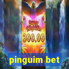 pinguim bet